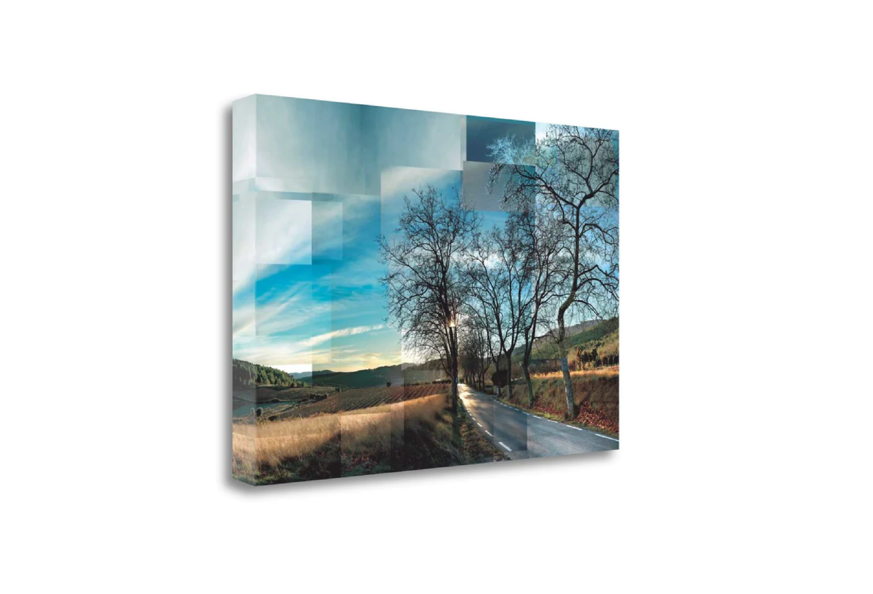 Canva art printing